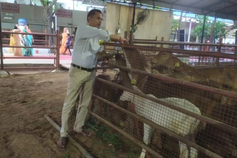 Animal Welfare
